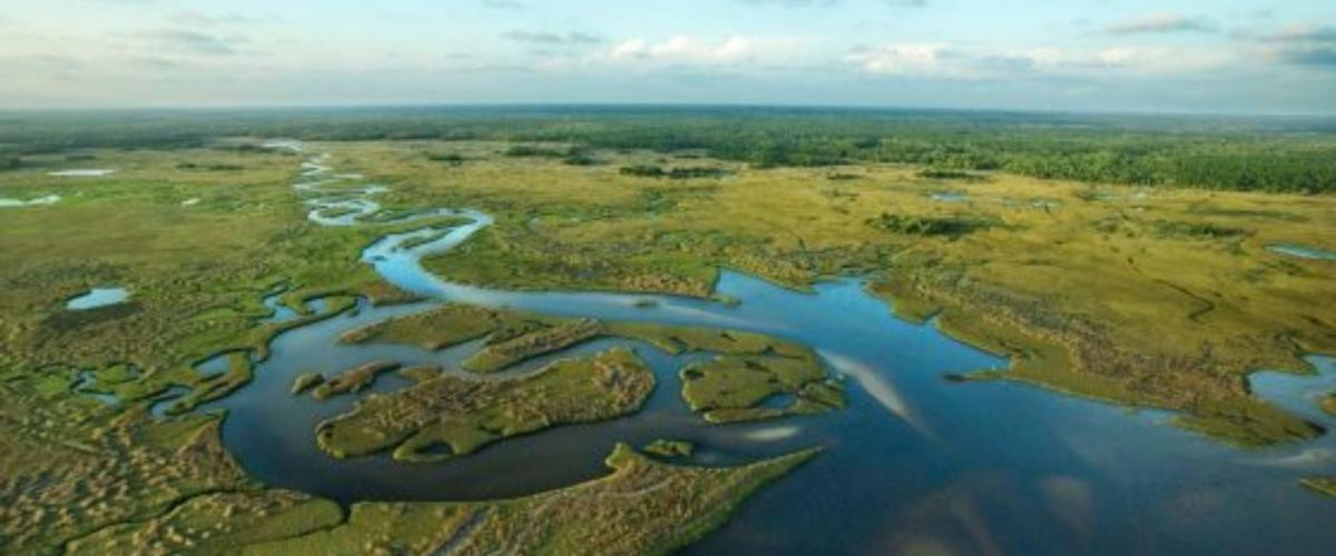 Florida-Everglades