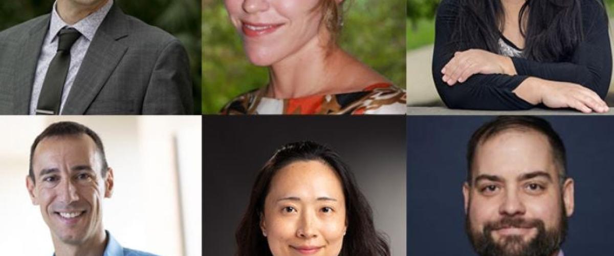 Freedman-faculty-fellows