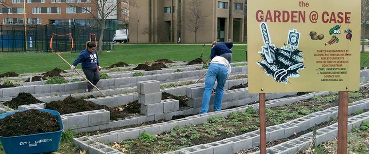 GardenatCase2