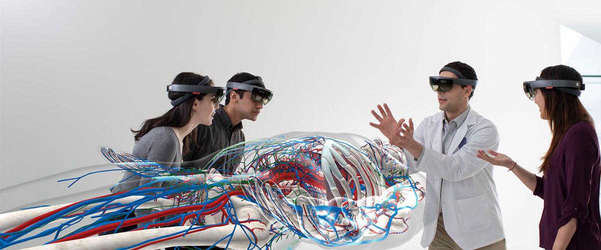 HoloAnatomy