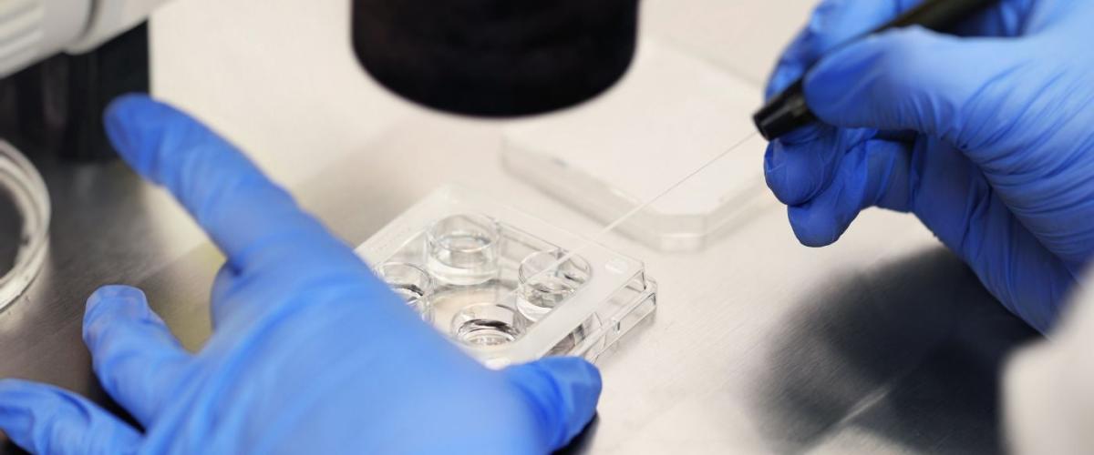 IVF-clinic