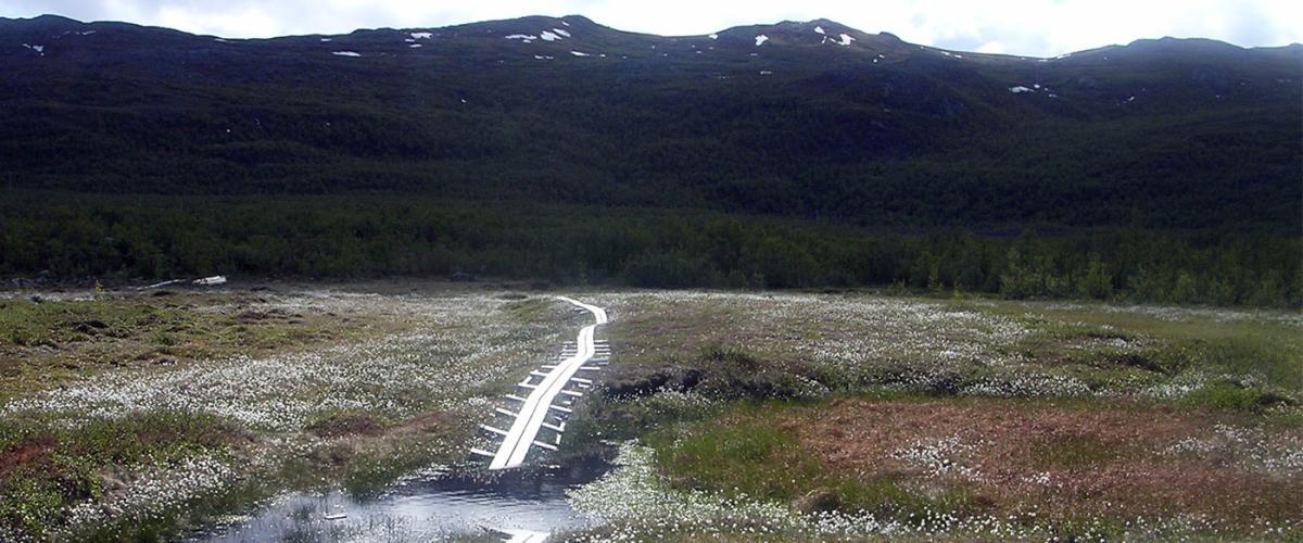 Stordalan_1