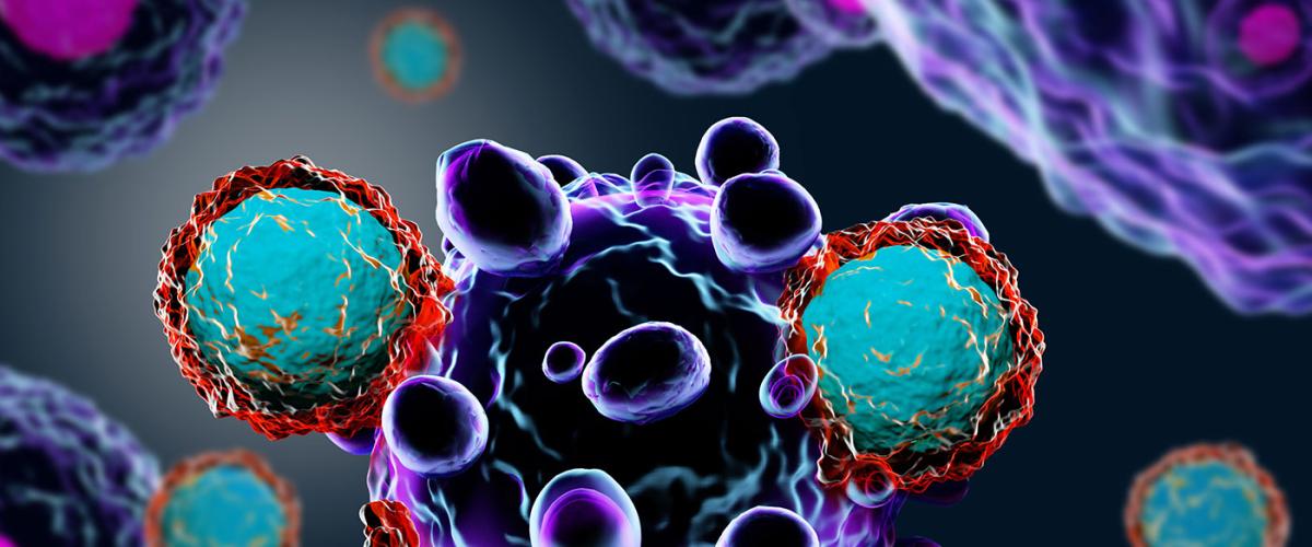 T-cells