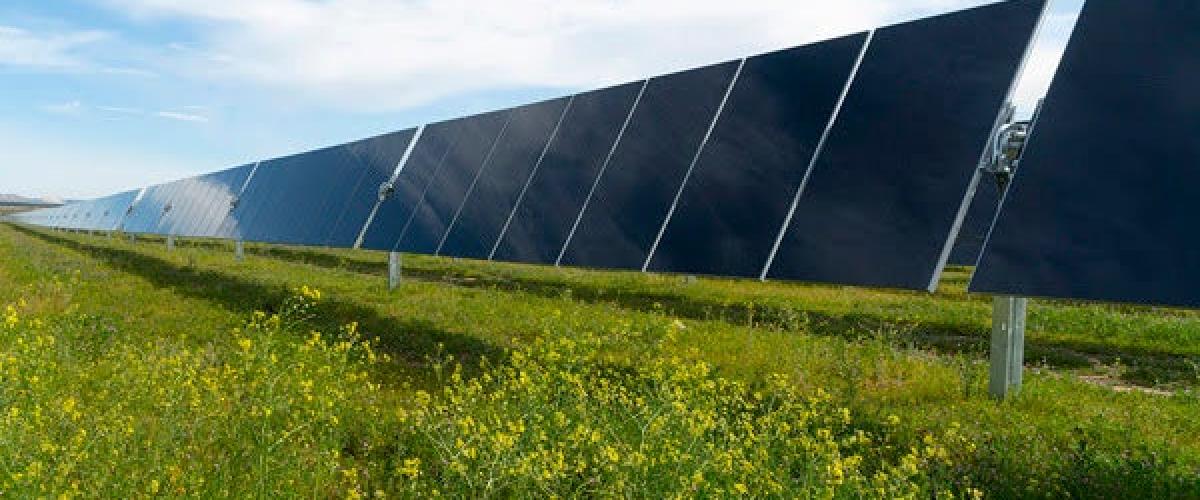 Think-Energy-Fall-2021-Event-1