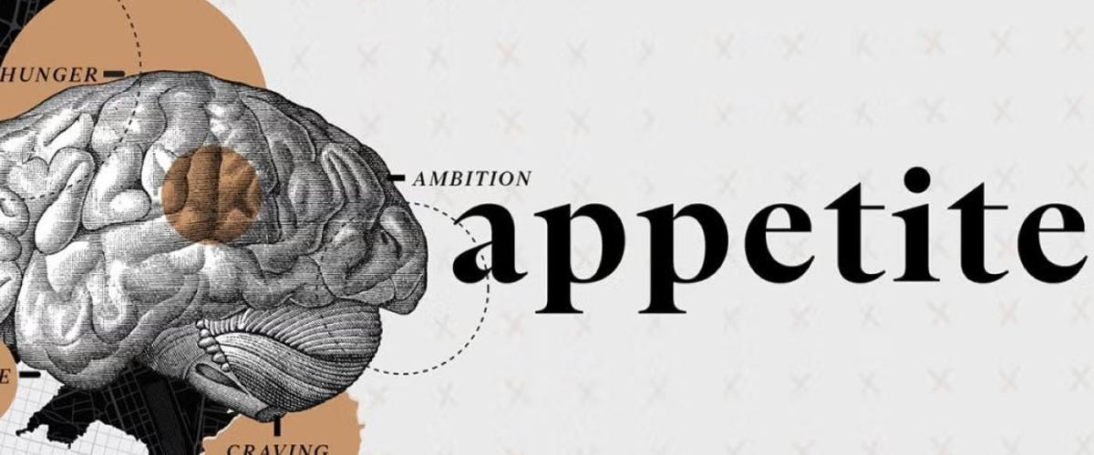 appetite-feat