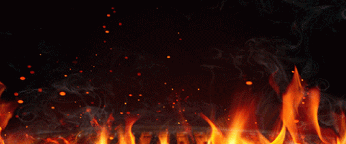bbqfor-daily