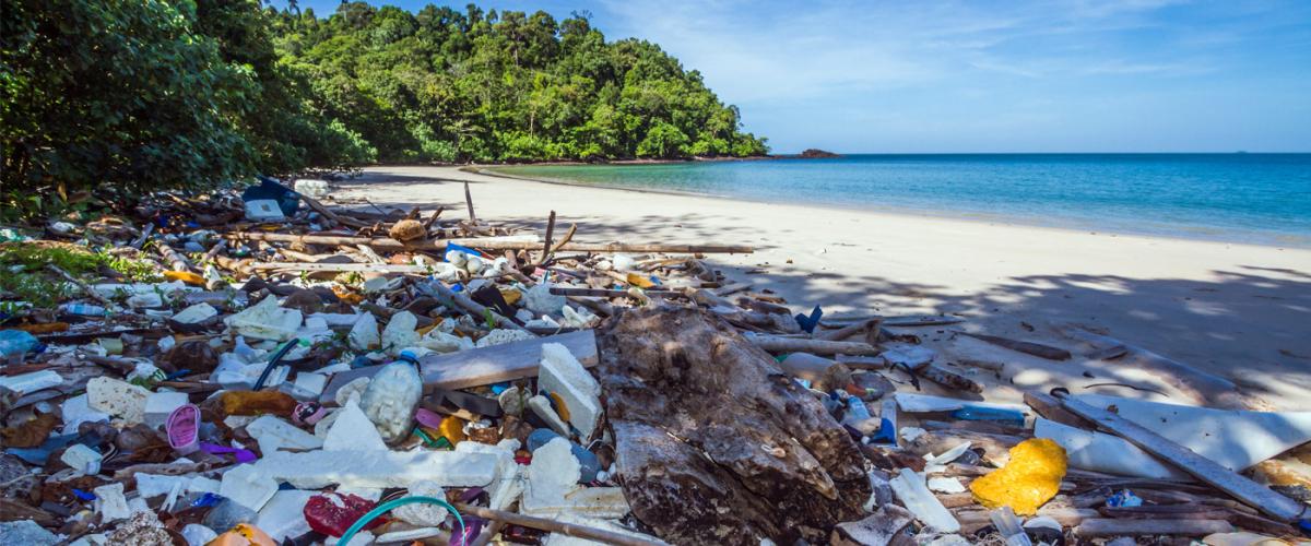 beach-pollution-feat