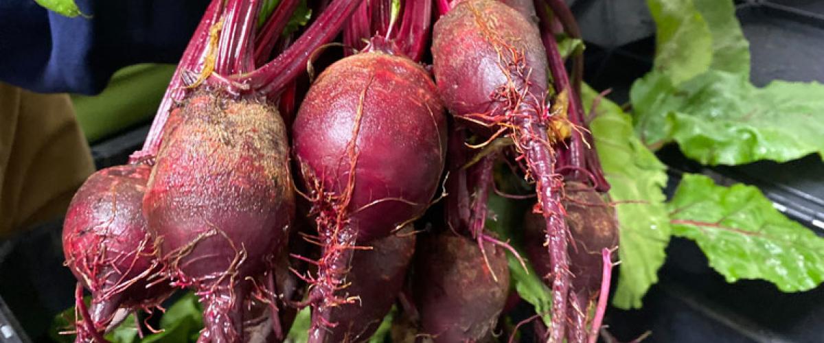 beets