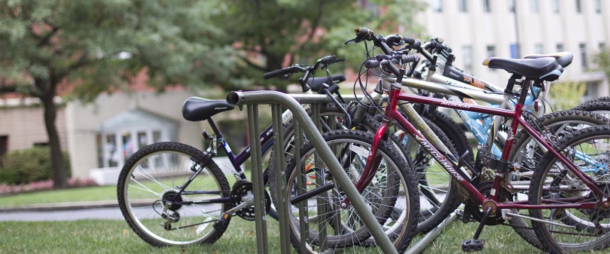 bikes