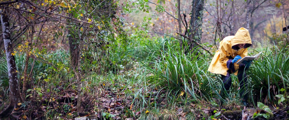 biologist_woods
