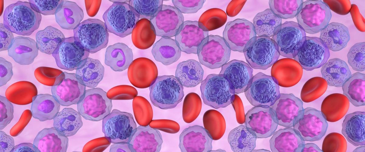 blood-cells-feat