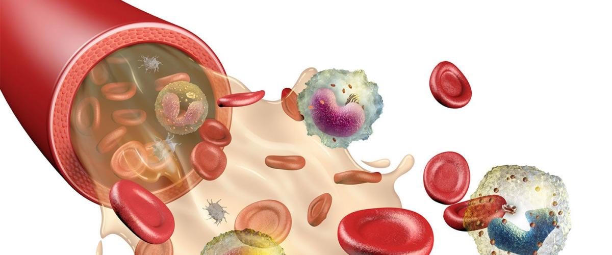 blood_components