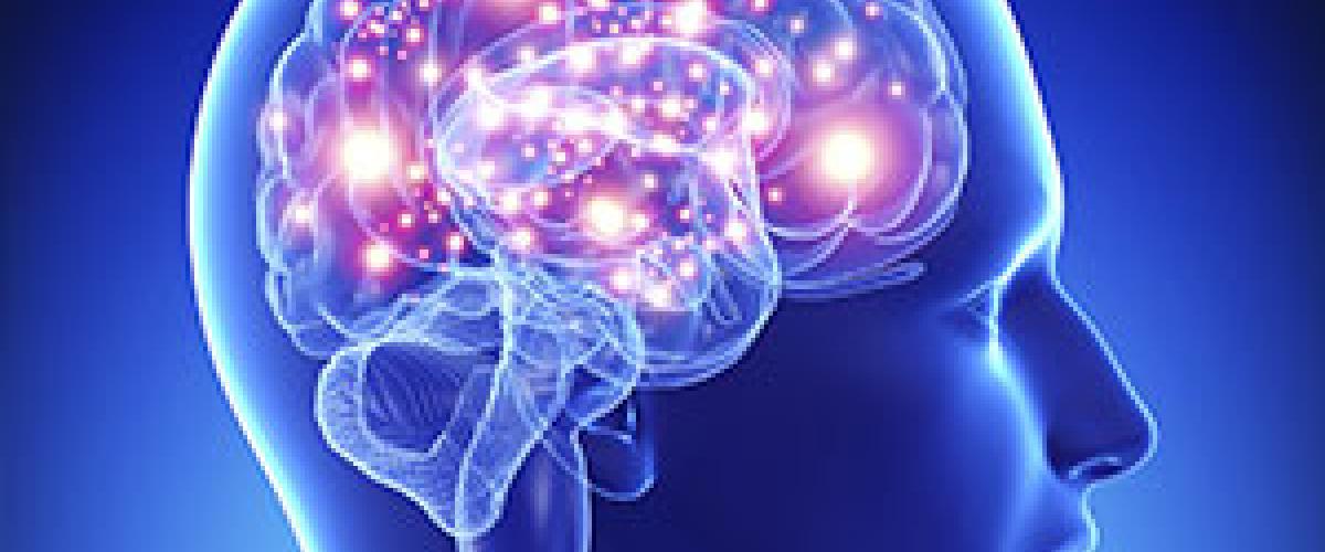 brain-neurons-feat