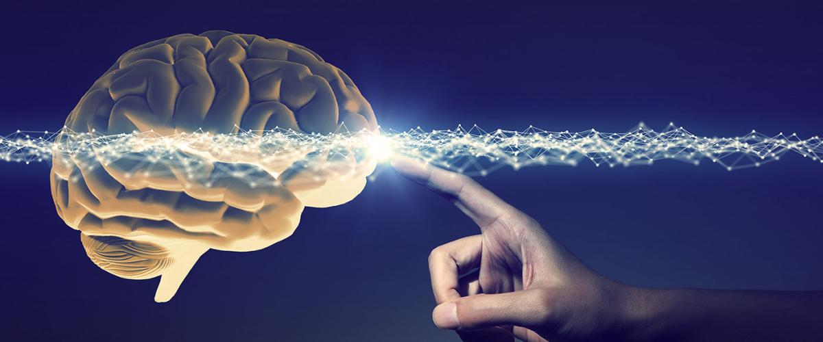 brainMapillo