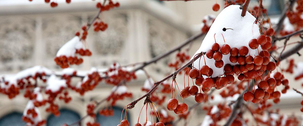 campus-winter