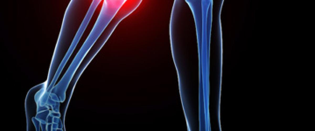 cartilage-knees