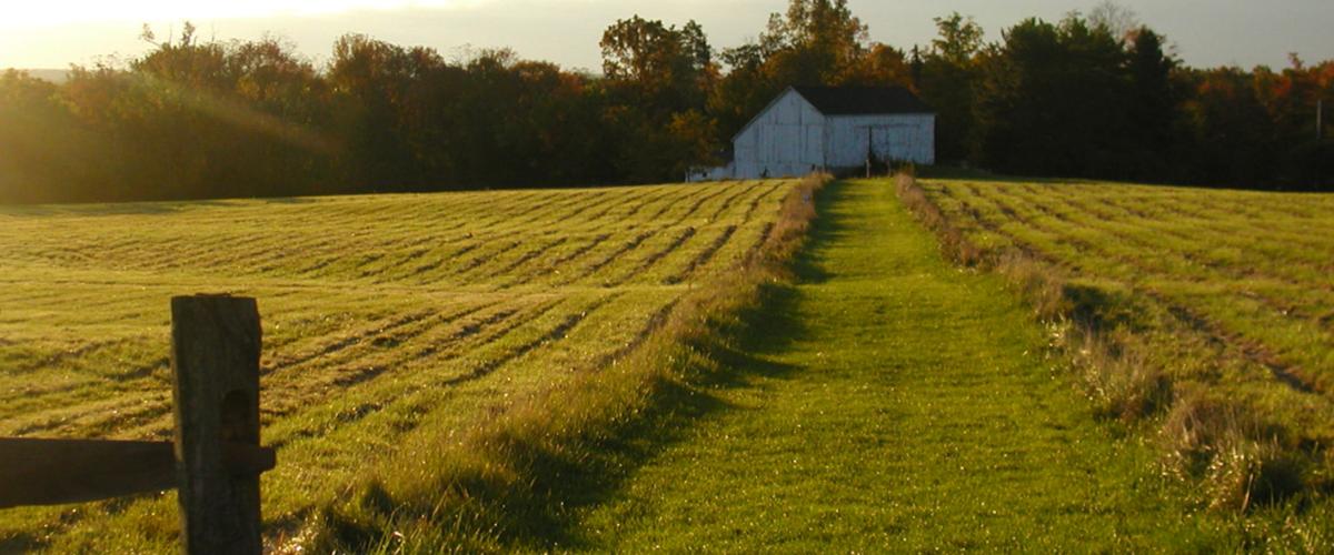 case-farm
