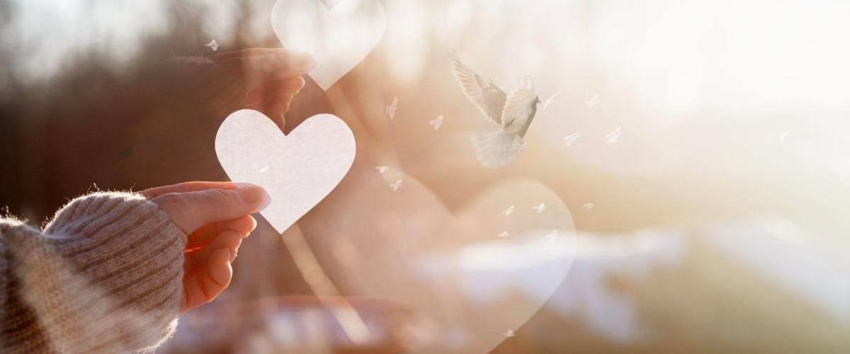 charity-news