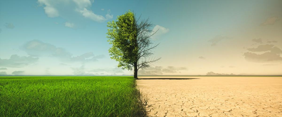 climate-change-1