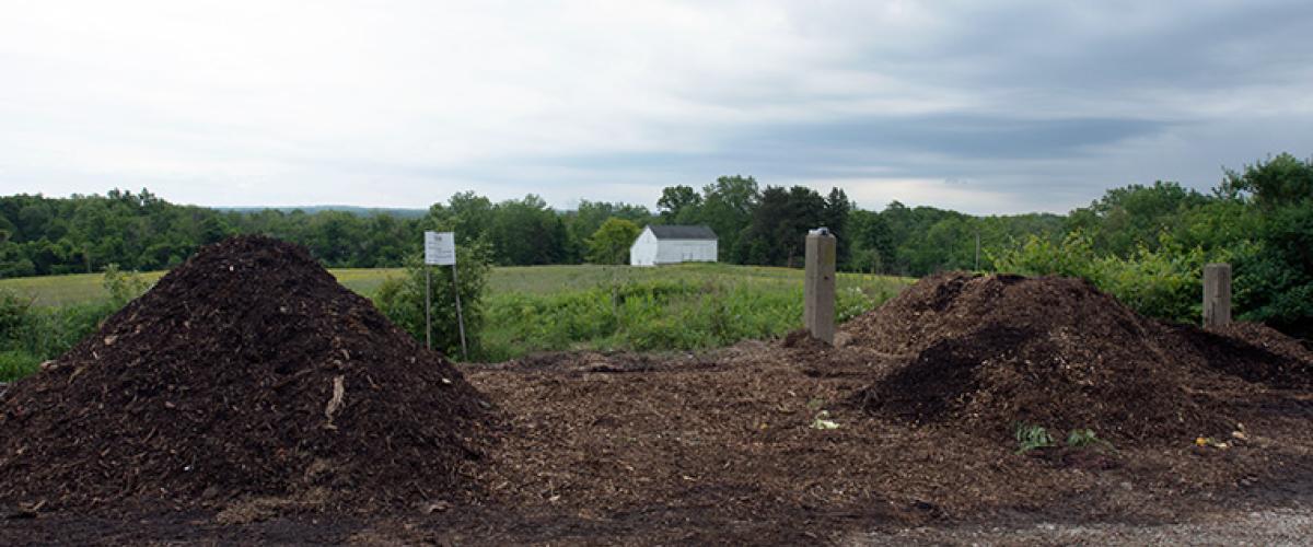 compost-feat