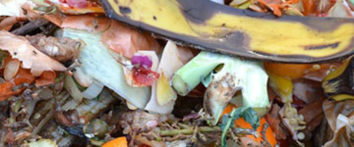 compost