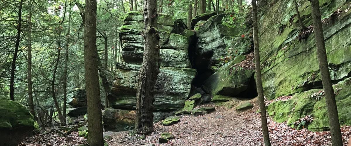 cvnp-feat