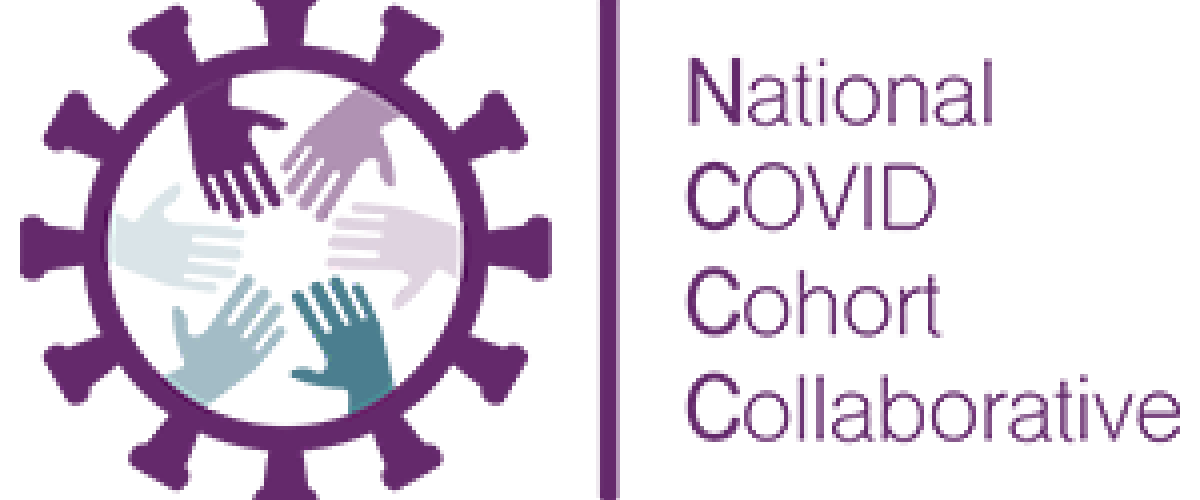 National%20COVID%20cohort%20collaborative%20logo%20copy.png