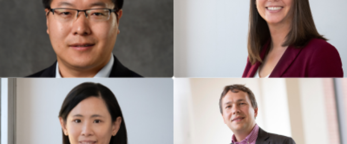 veale-faculty-fellows.png