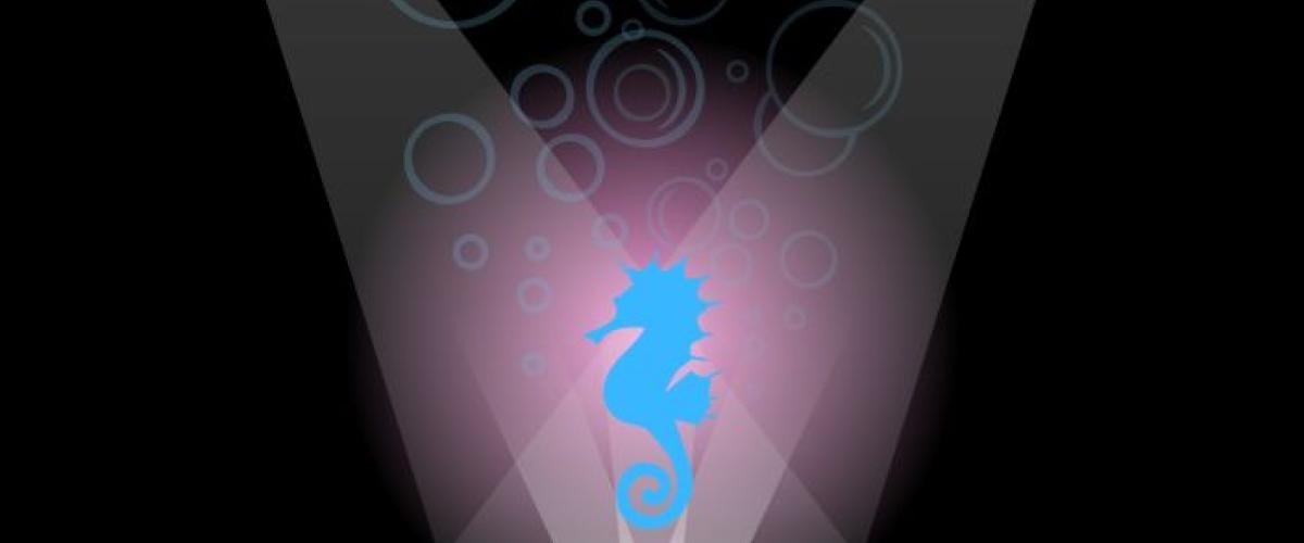 KSL%20Website%20-%20CHF%20director%27s%20talk.jpg