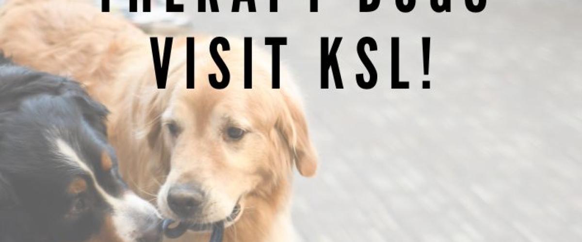 KSL%20news%20-%20Therapy%20dogs%20%28no%20dates%29_0.jpg