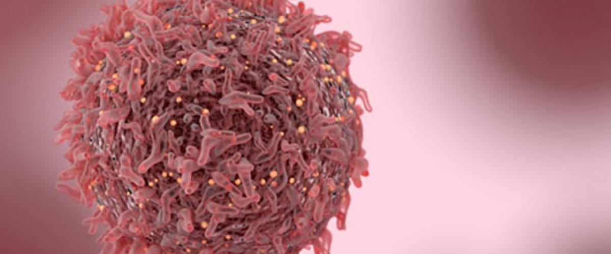 169pinkcancercell.jpg