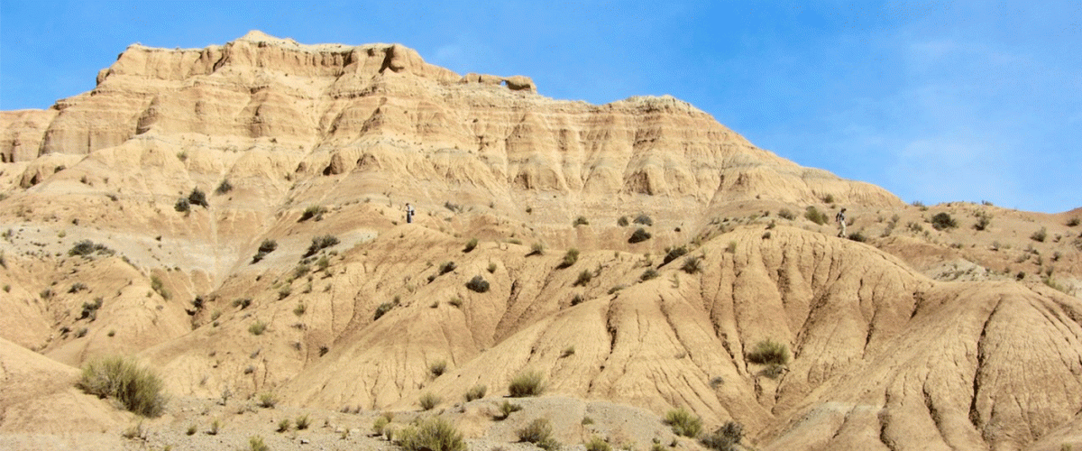 2024.10-Croft-QHB-landscape.gif
