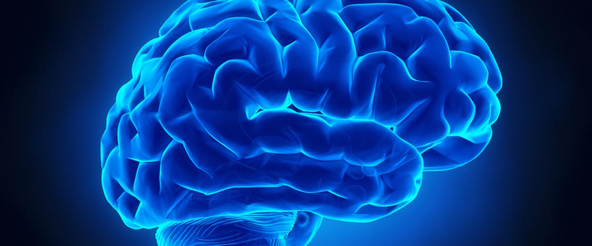 Blue%20Brain.jpg