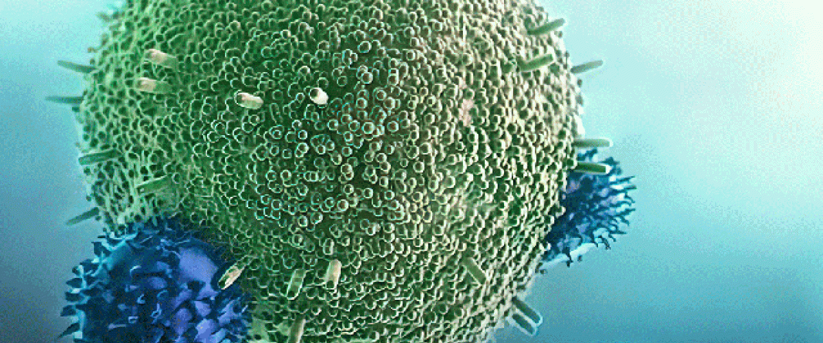 Cancer-receptor.gif