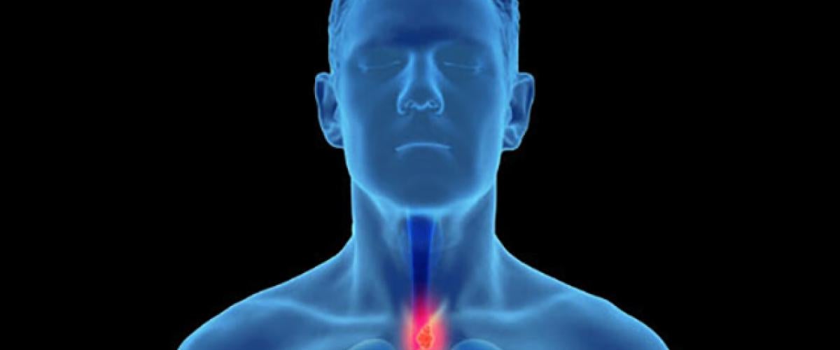esophagus169.jpg