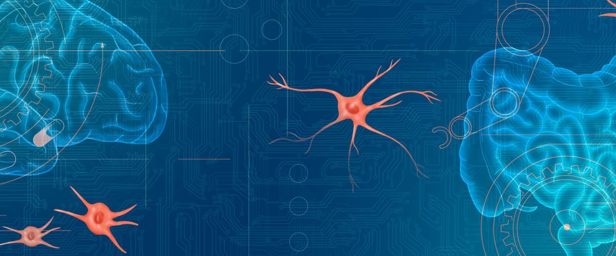 glial-feat.jpg