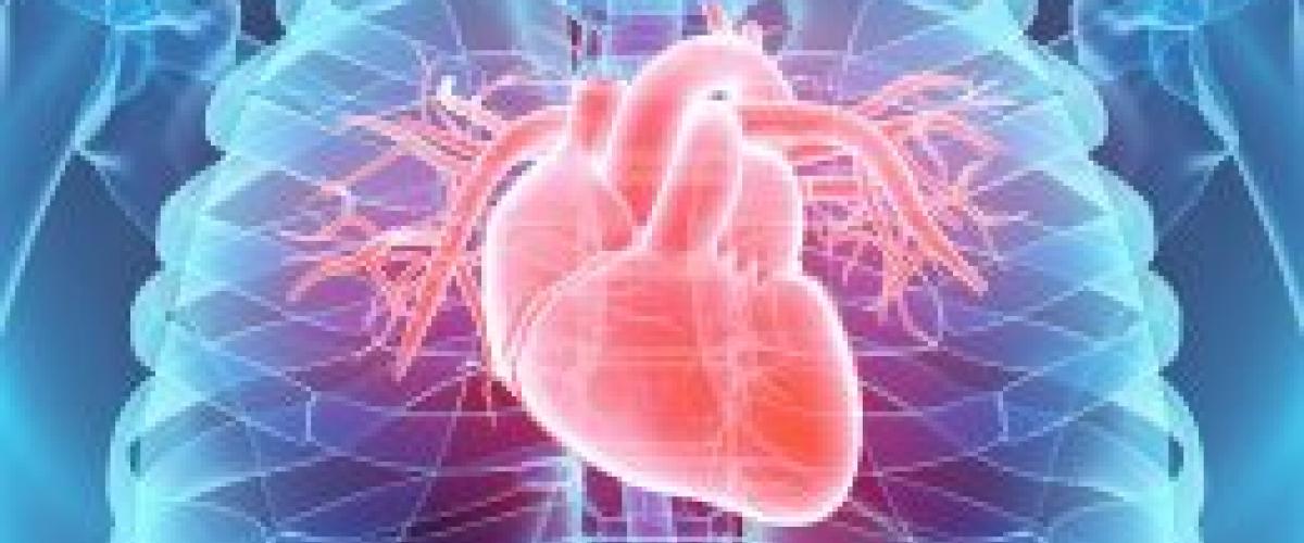 heart-feat-260x170.jpeg