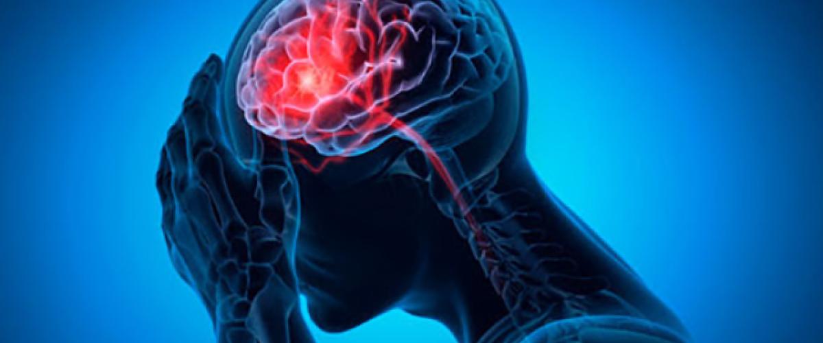 stockbrain169.jpg