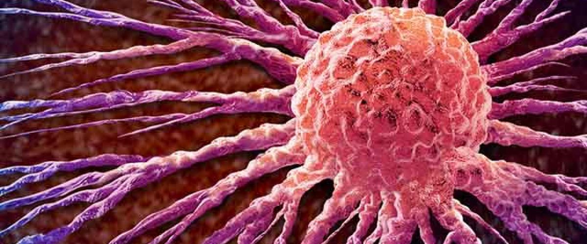 stockbreastcancer.jpg