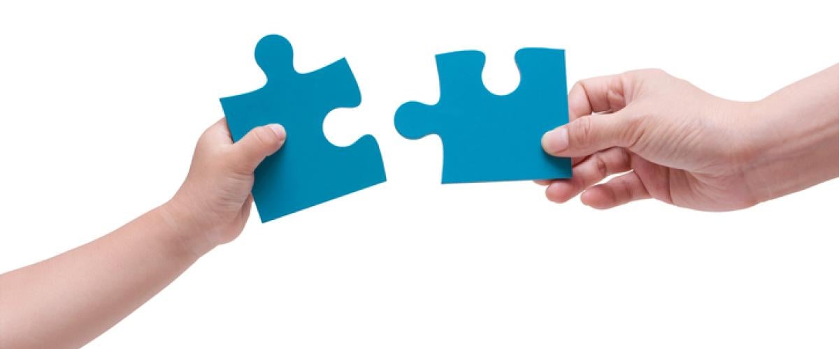 Puzzle%20Pieces.jpg
