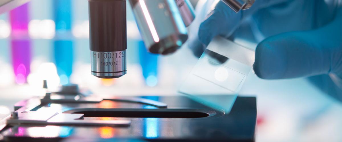 digital_pathology