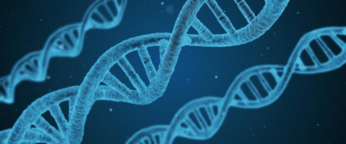 dna-1811955_1920-1