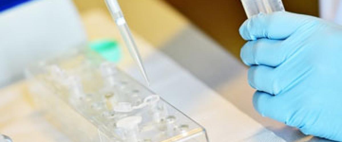 dna-testing