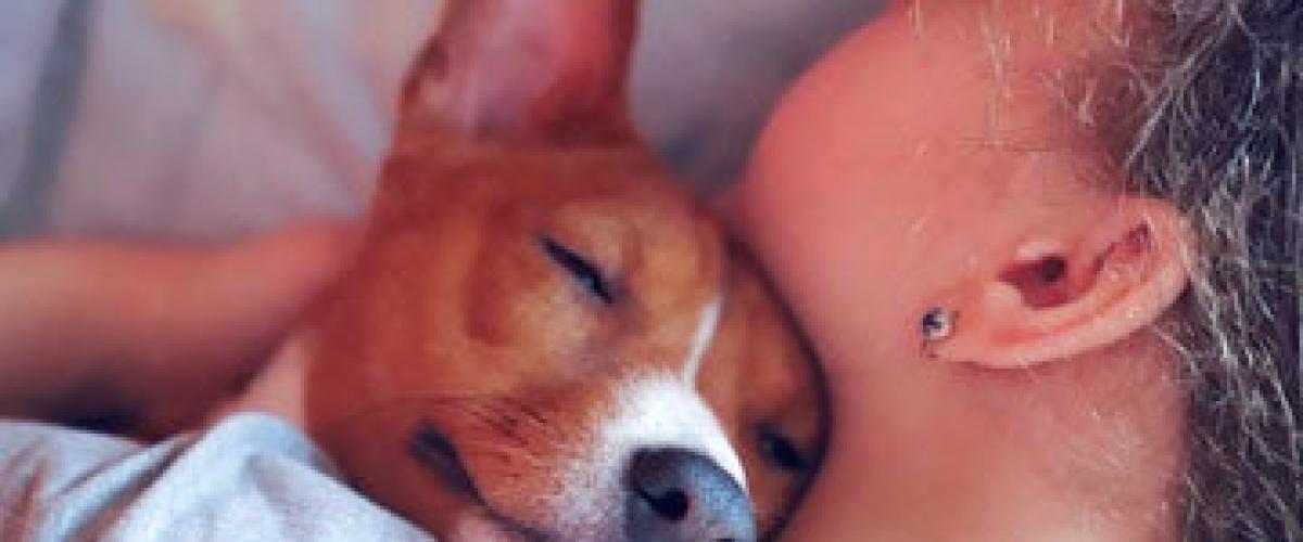 dog-sleeping