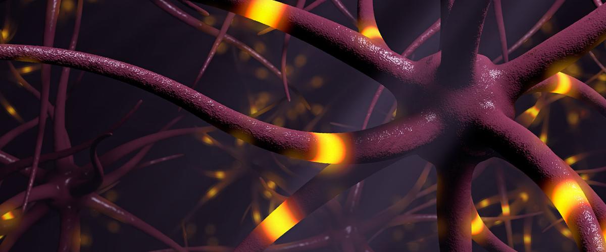 epilepsy_nerves