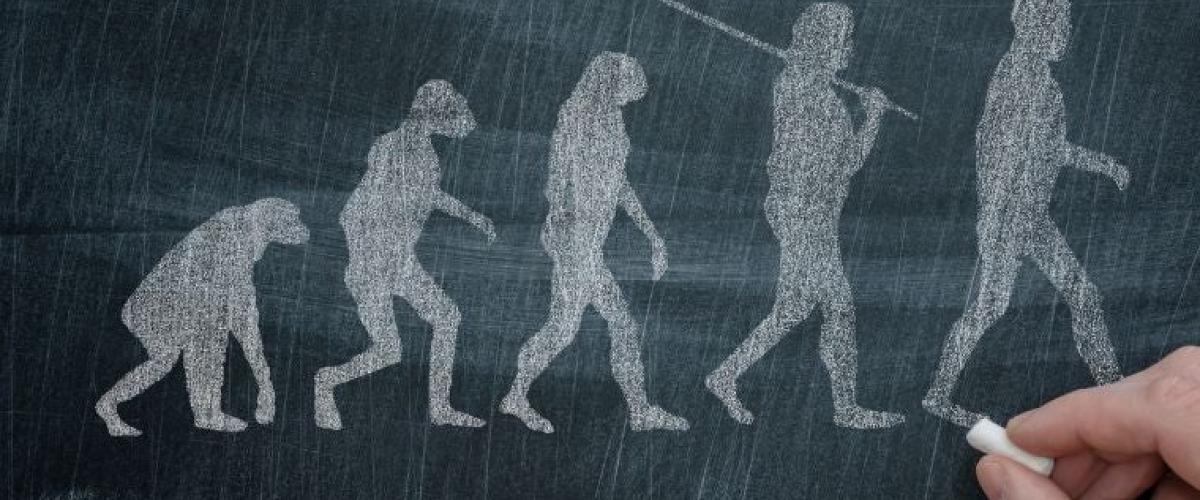 evolution