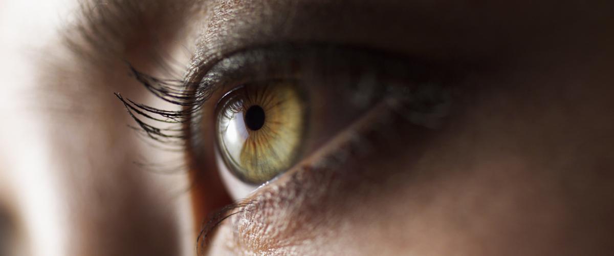 eye