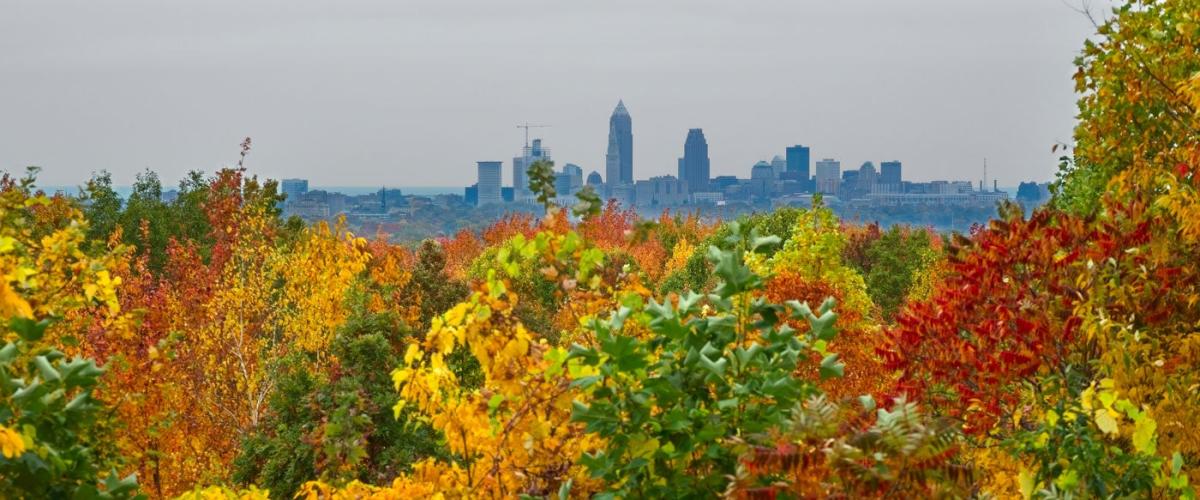fall-foliage-feat