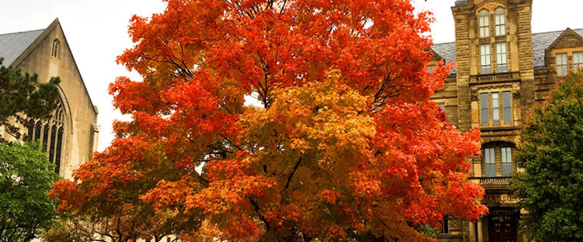 fall-virginia-morrison
