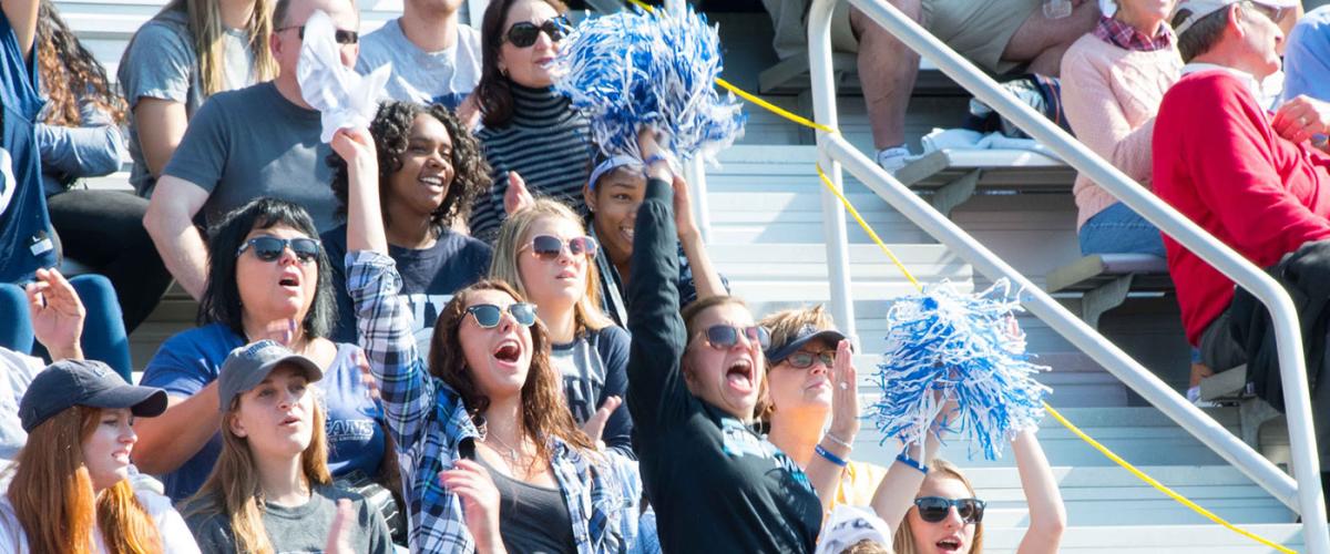 fans-cheering-feat